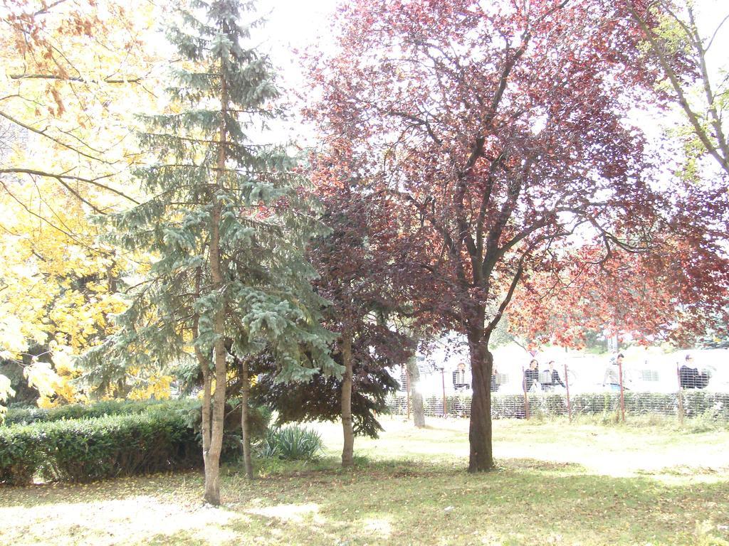 Central City Ap Sibiu Esterno foto